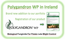 New registration in Ireland