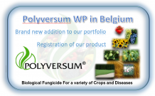 New registration in Belgium