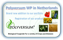 New registration in Netherlands